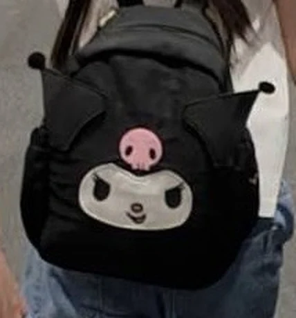 The black Kuromi backpack, from the photo the family sent us.